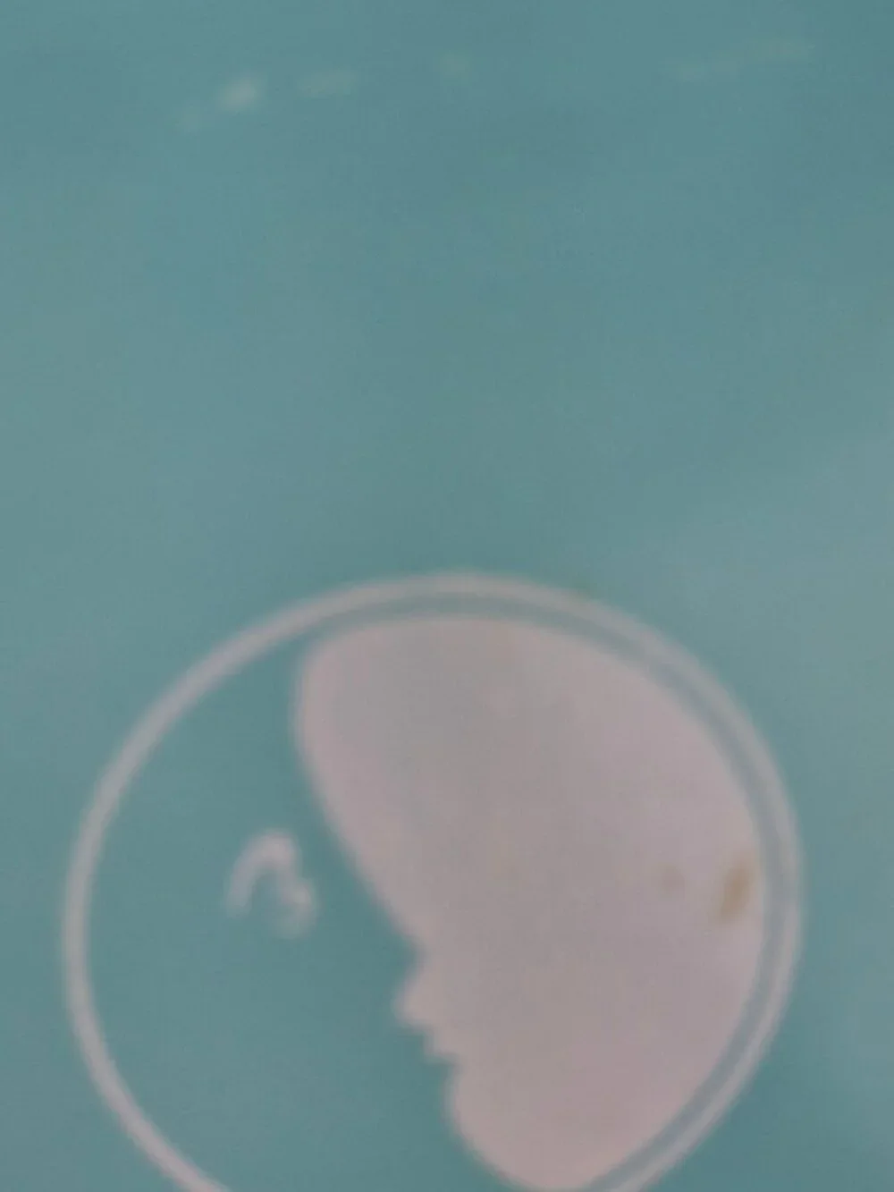 Vintage 444 Pyrex Hot Air Balloon Cinderella Mixing Bowl 4 Quart Turquoise MCM